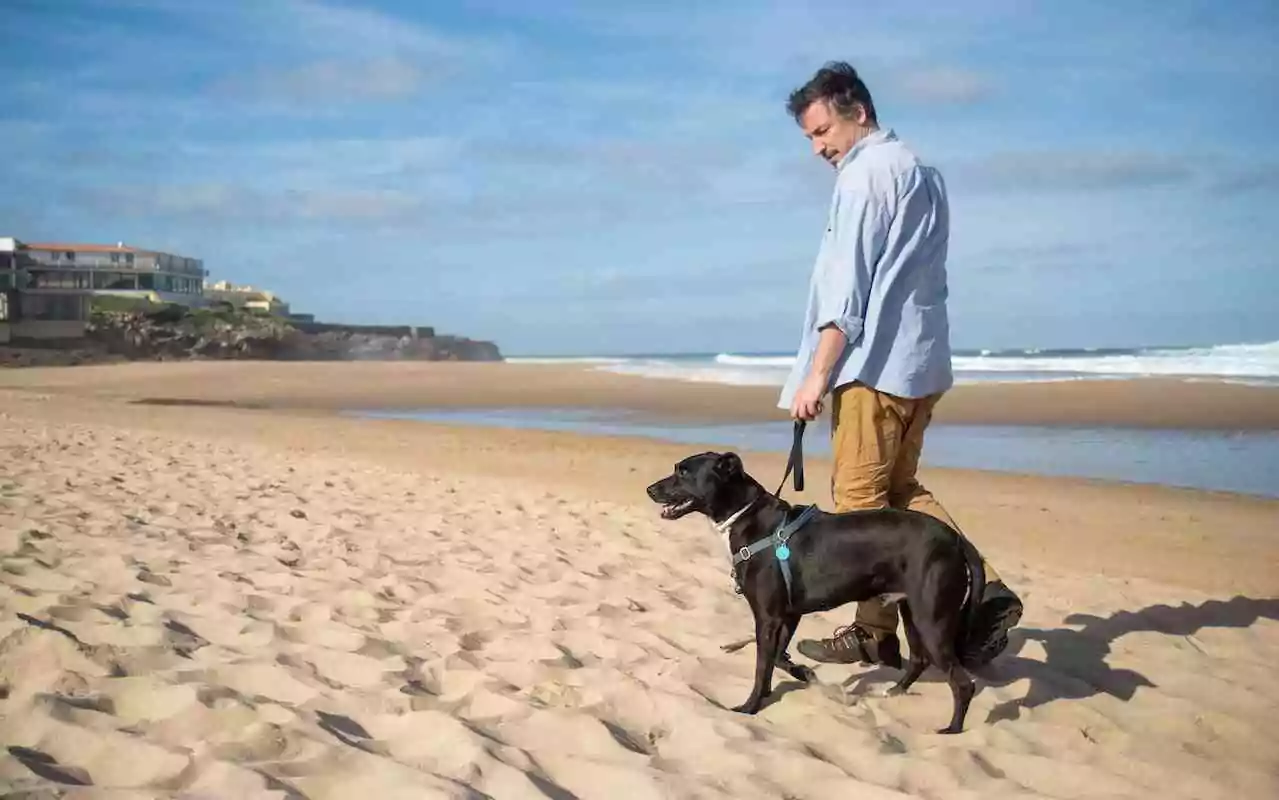 How to maintain good mental health when you have schizoaffective disorder. Man walking dog on beach.