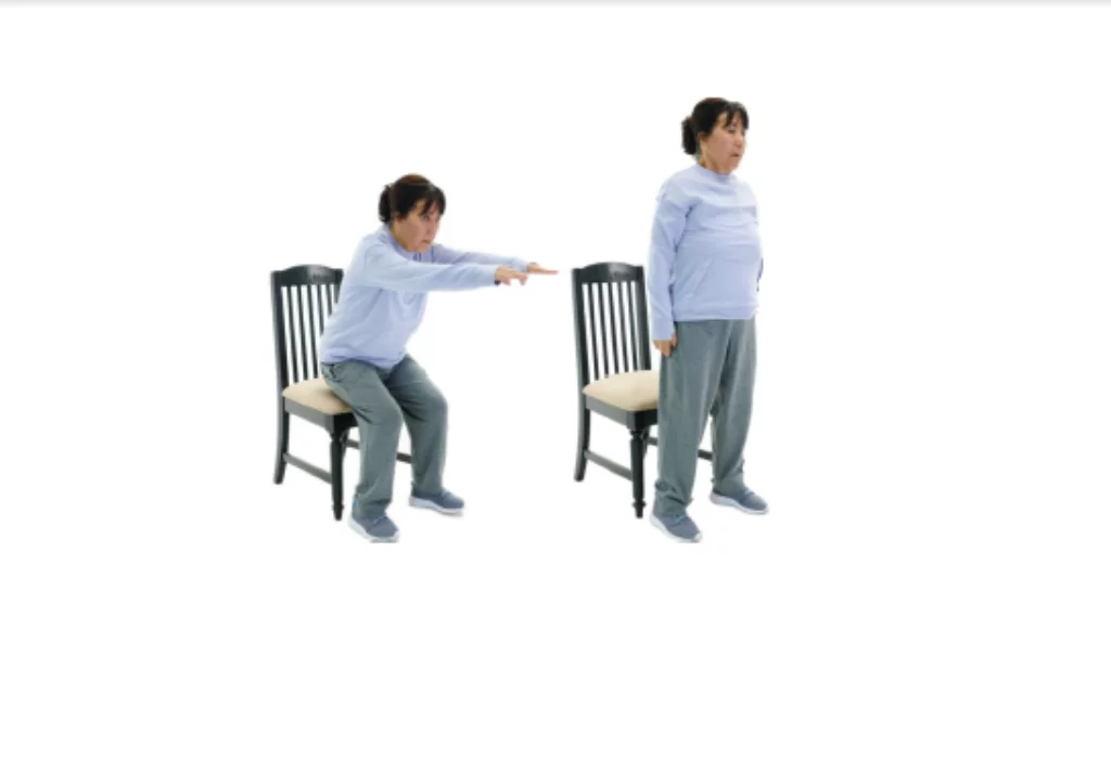 Sit to stand exercise