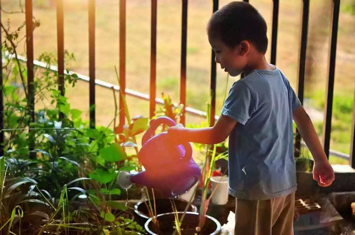 Boy watering plants in sensory garden.